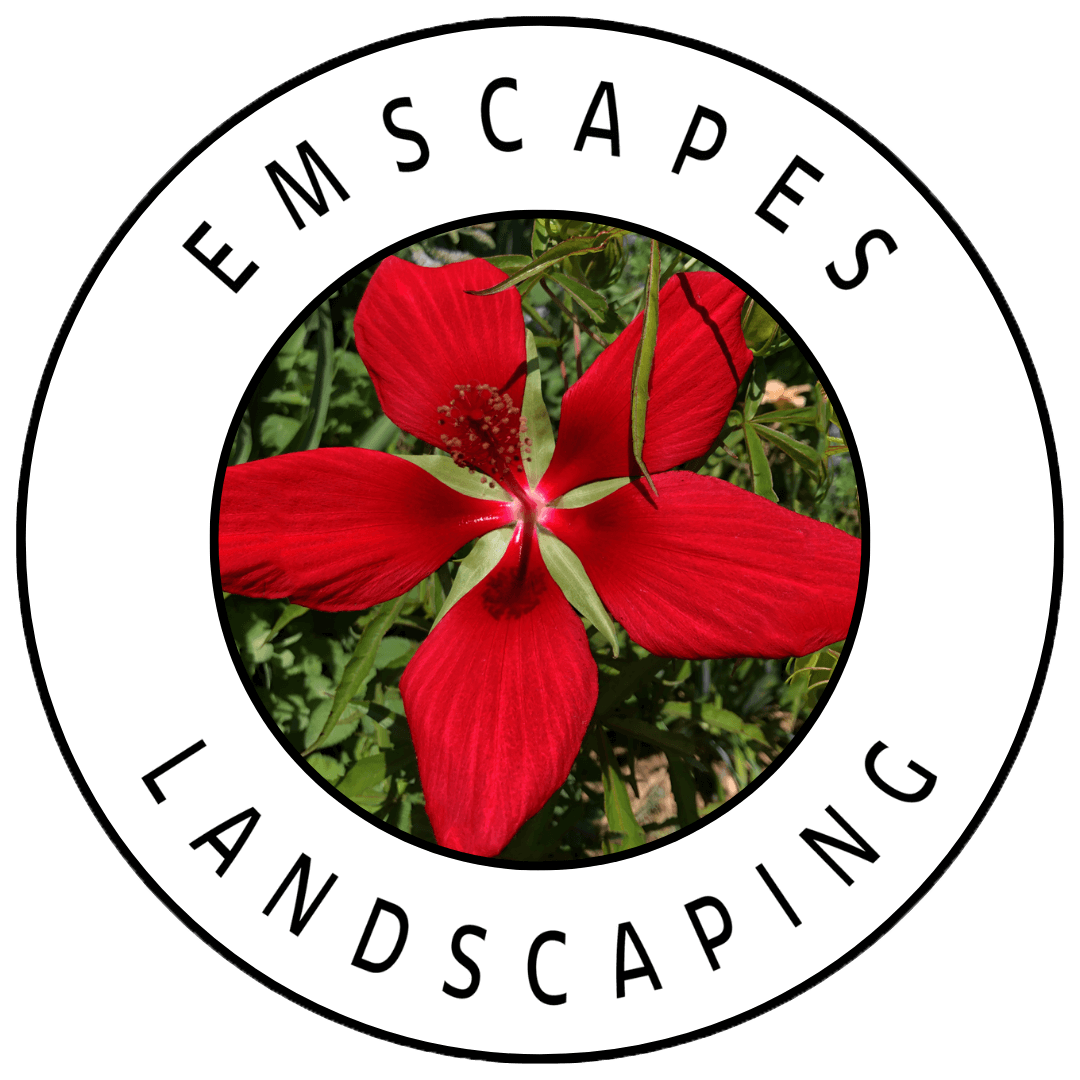 Logo of Emscapes, a landscaping company. A flower surrounded by Emscapes Landscaping
